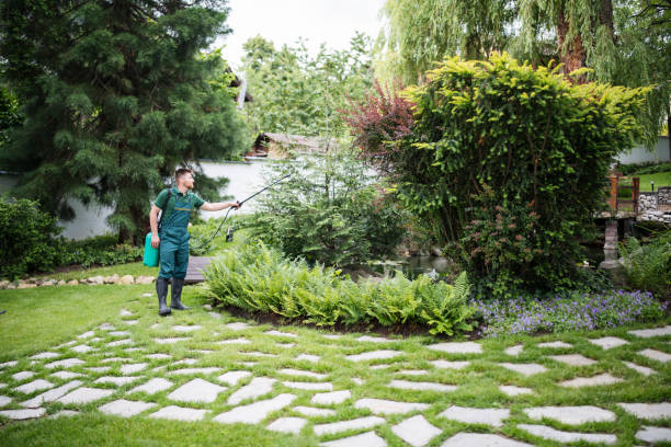 Best Lawn Irrigation Installation and Maintenance  in Bellevue, KY
